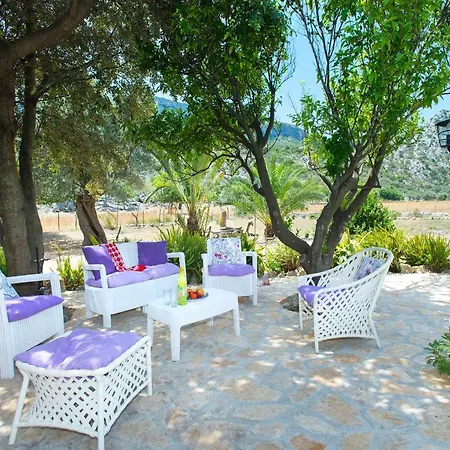 Owl Rafals - Wonder In The Midst Of Nature * Pollença