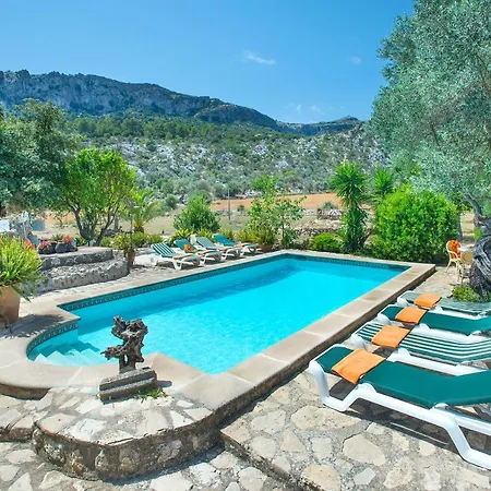 Owl Rafals - Wonder In The Midst Of Nature