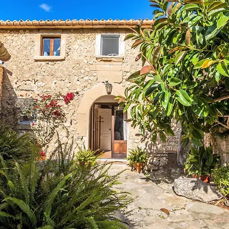 Owl Rafals - Wonder In The Midst Of Nature Villa