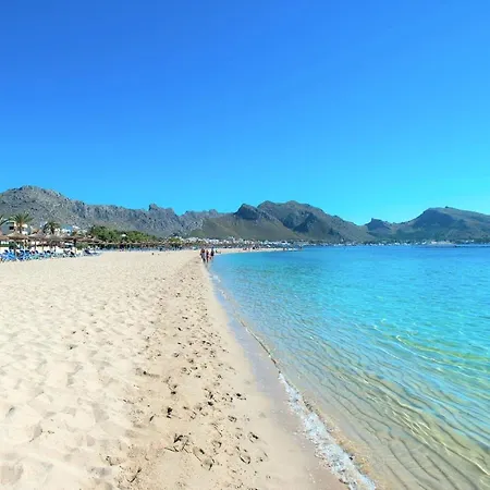 Owl Rafals - Wonder In The Midst Of Nature