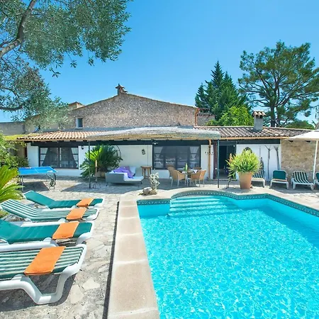 Owl Rafals - Wonder In The Midst Of Nature *