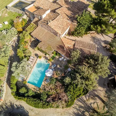 Owl Rafals - Wonder In The Midst Of Nature Pollensa