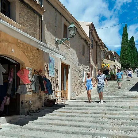 Owl Rafals - Wonder In The Midst Of Nature Willa *