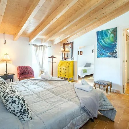 Owl Rafals - Wonder In The Midst Of Nature * Pollensa