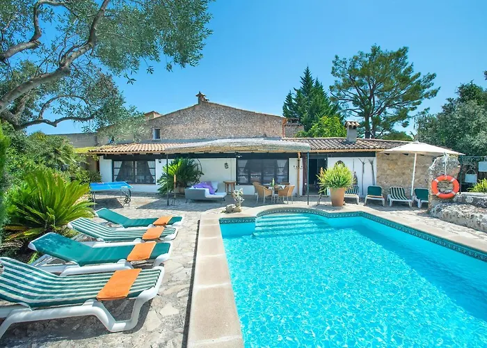 Owl Rafals - Wonder In The Midst Of Nature *