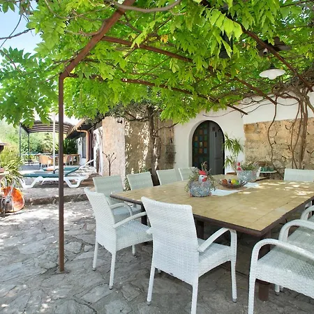 Owl Rafals - Wonder In The Midst Of Nature * Pollença