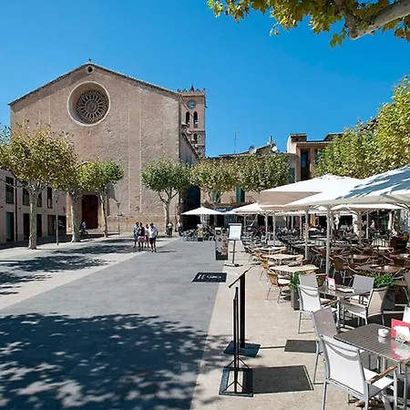 Owl Rafals - Wonder In The Midst Of Nature