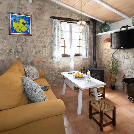 Owl Rafals - Wonder In The Midst Of Nature * Pollença