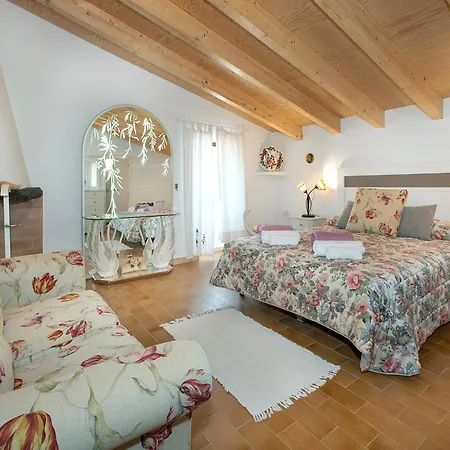 Owl Rafals - Wonder In The Midst Of Nature *