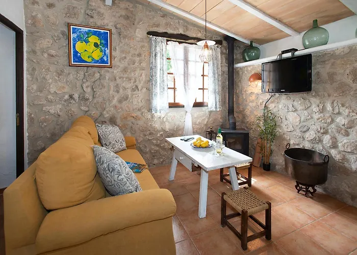 Owl Rafals - Wonder In The Midst Of Nature * Pollença