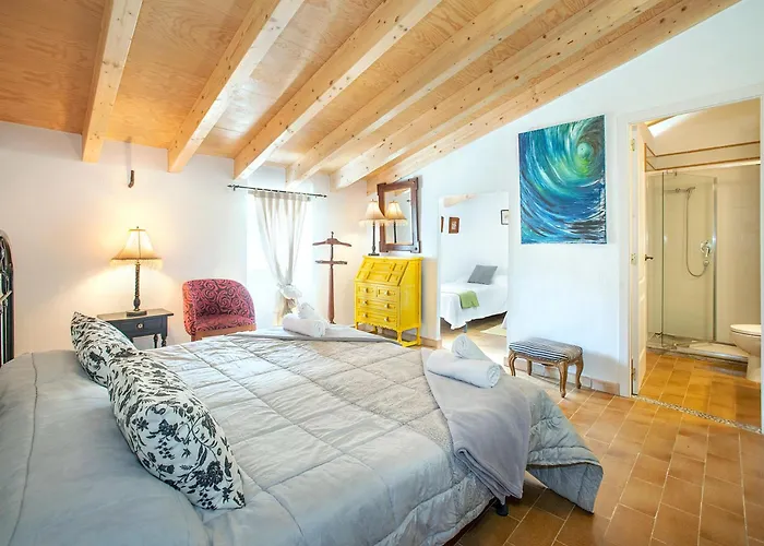 Owl Rafals - Wonder In The Midst Of Nature * Pollença