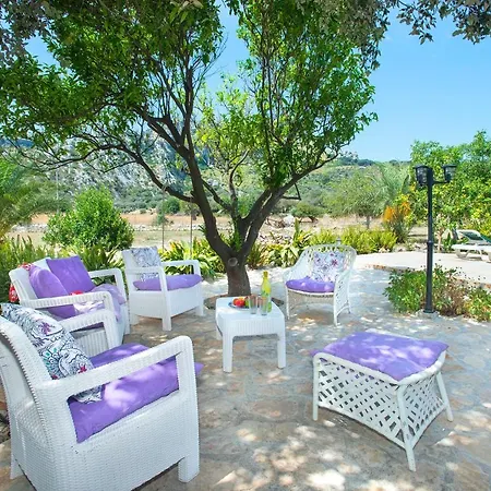 Owl Rafals - Wonder In The Midst Of Nature וילה