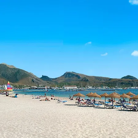 Owl Rafals - Wonder In The Midst Of Nature פוינסה