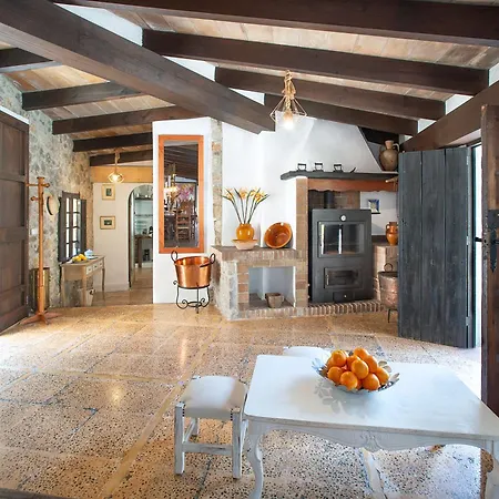 Owl Rafals - Wonder In The Midst Of Nature פוינסה