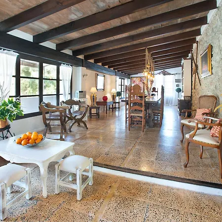 Owl Rafals - Wonder In The Midst Of Nature פוינסה