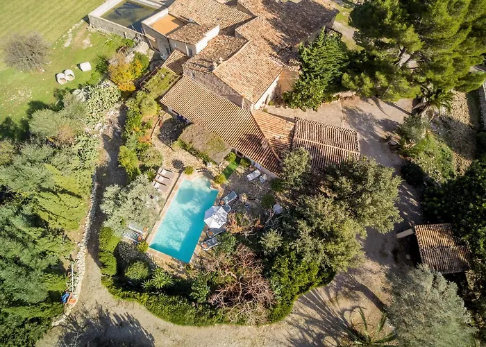 Owl Rafals - Wonder In The Midst Of Nature Pollensa