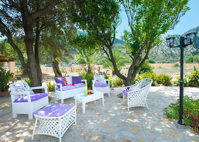 Owl Rafals - Wonder In The Midst Of Nature * Pollensa