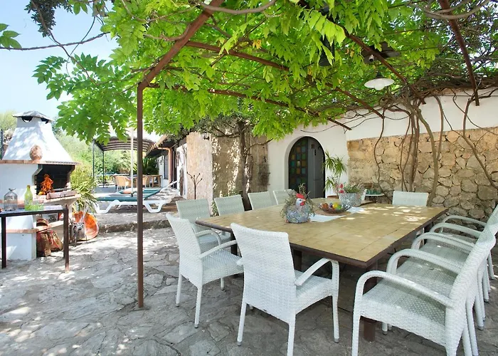 Owl Rafals - Wonder In The Midst Of Nature * Pollensa