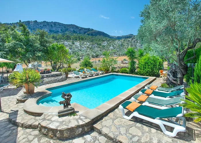 Owl Rafals - Wonder In The Midst Of Nature