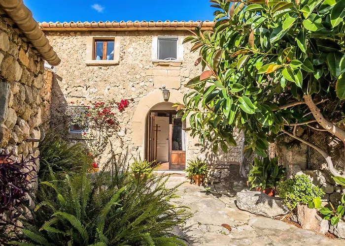 Owl Rafals - Wonder In The Midst Of Nature Willa