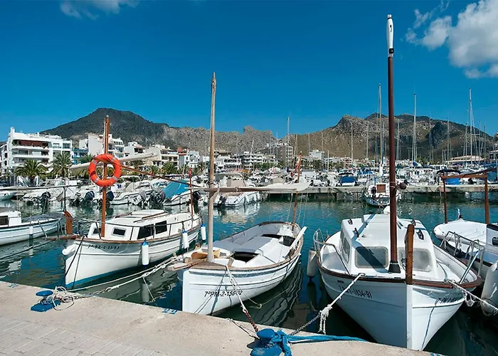 Owl Rafals - Wonder In The Midst Of Nature Willa *