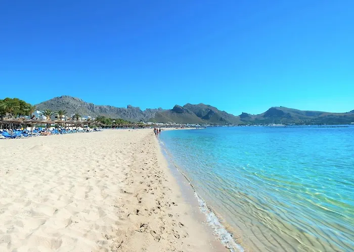 Owl Rafals - Wonder In The Midst Of Nature