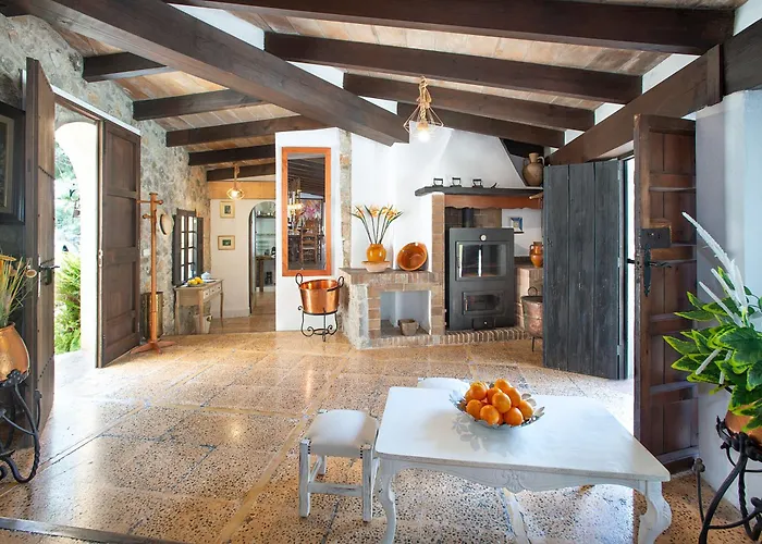 Owl Rafals - Wonder In The Midst Of Nature Pollensa