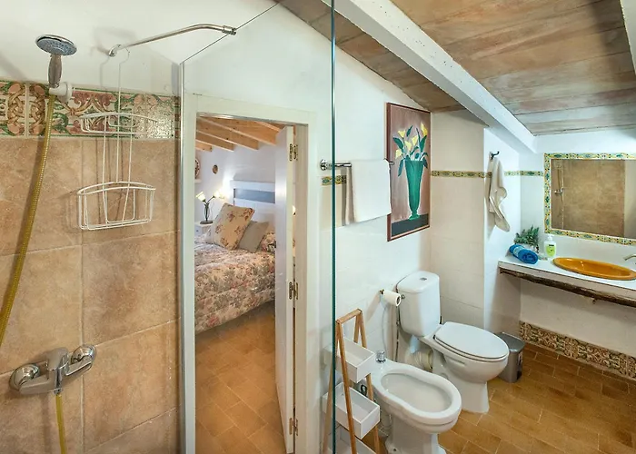 Owl Rafals - Wonder In The Midst Of Nature Willa Pollensa