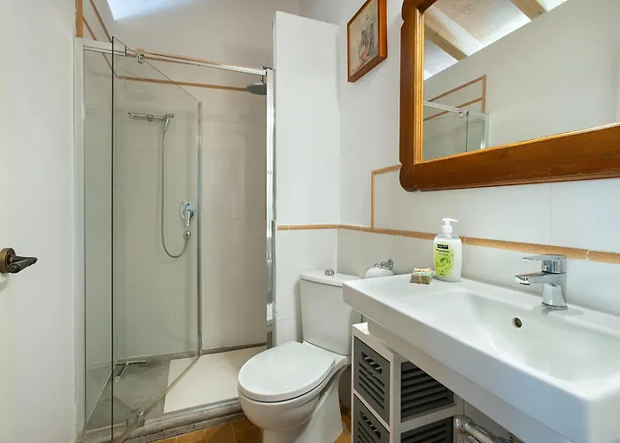 Owl Rafals - Wonder In The Midst Of Nature Pollensa