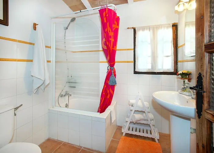 Owl Rafals - Wonder In The Midst Of Nature