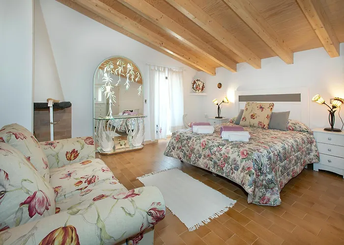 Owl Rafals - Wonder In The Midst Of Nature *