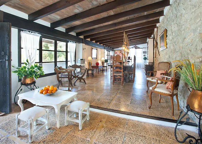 Owl Rafals - Wonder In The Midst Of Nature Pollensa